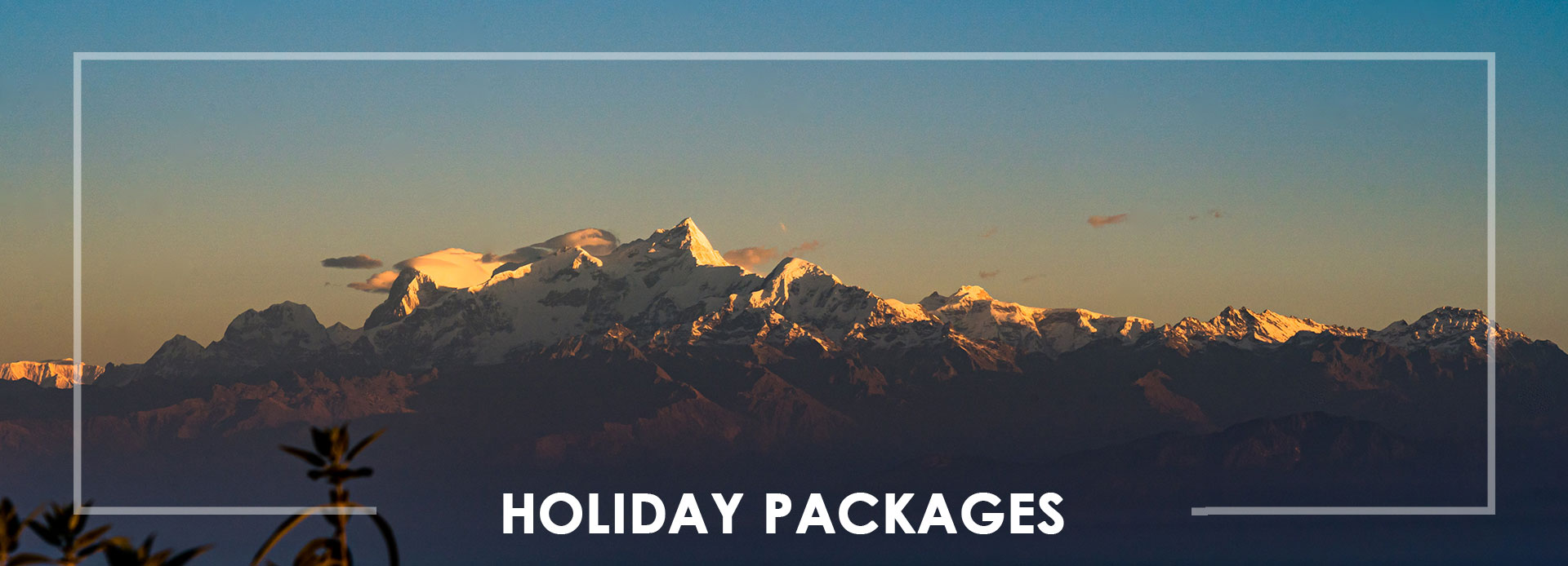  Holiday Packages