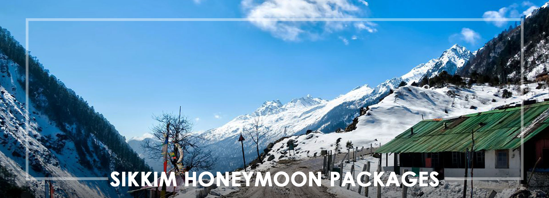  Sikkim Honeymoon Packages